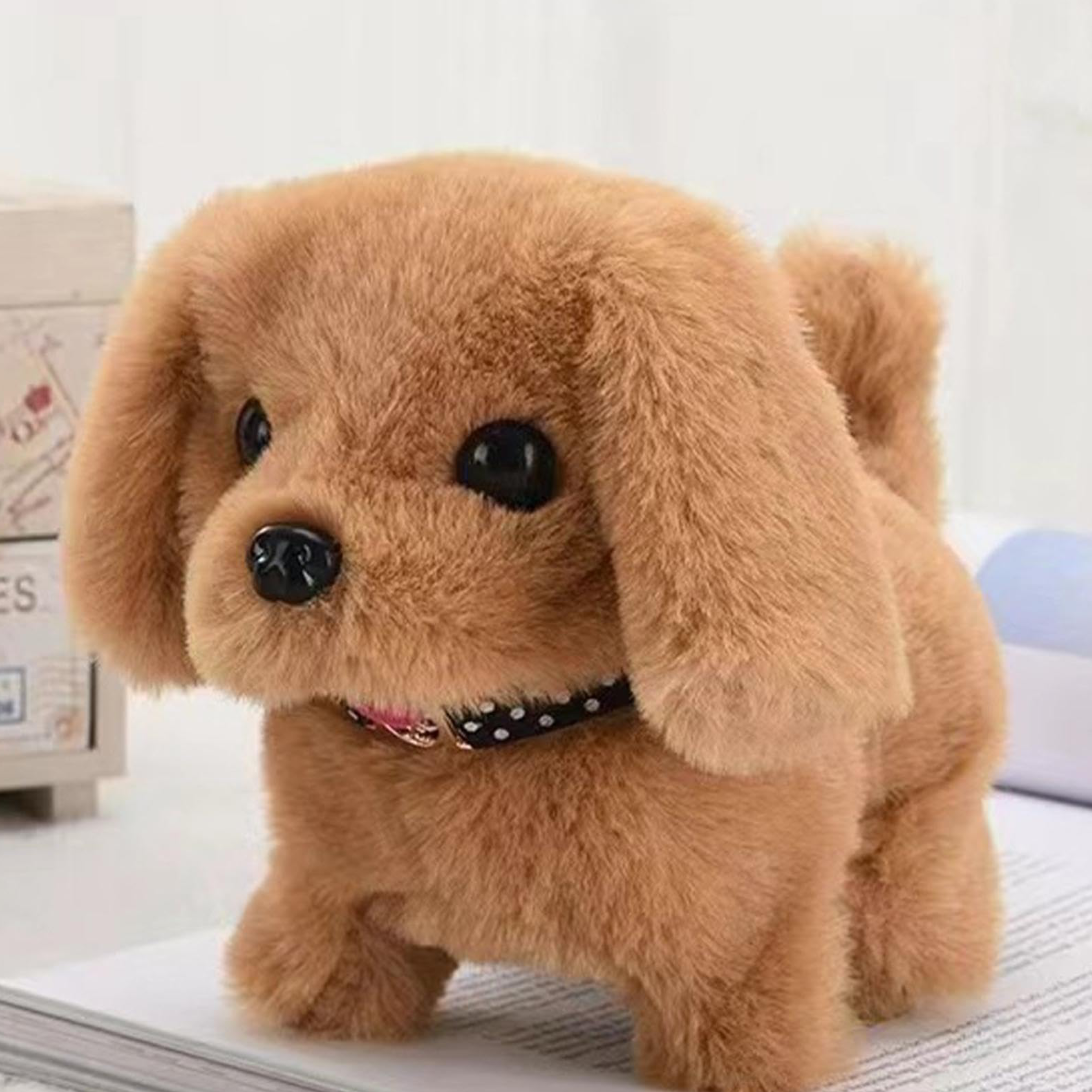 froplay dog reviews Abigail B.